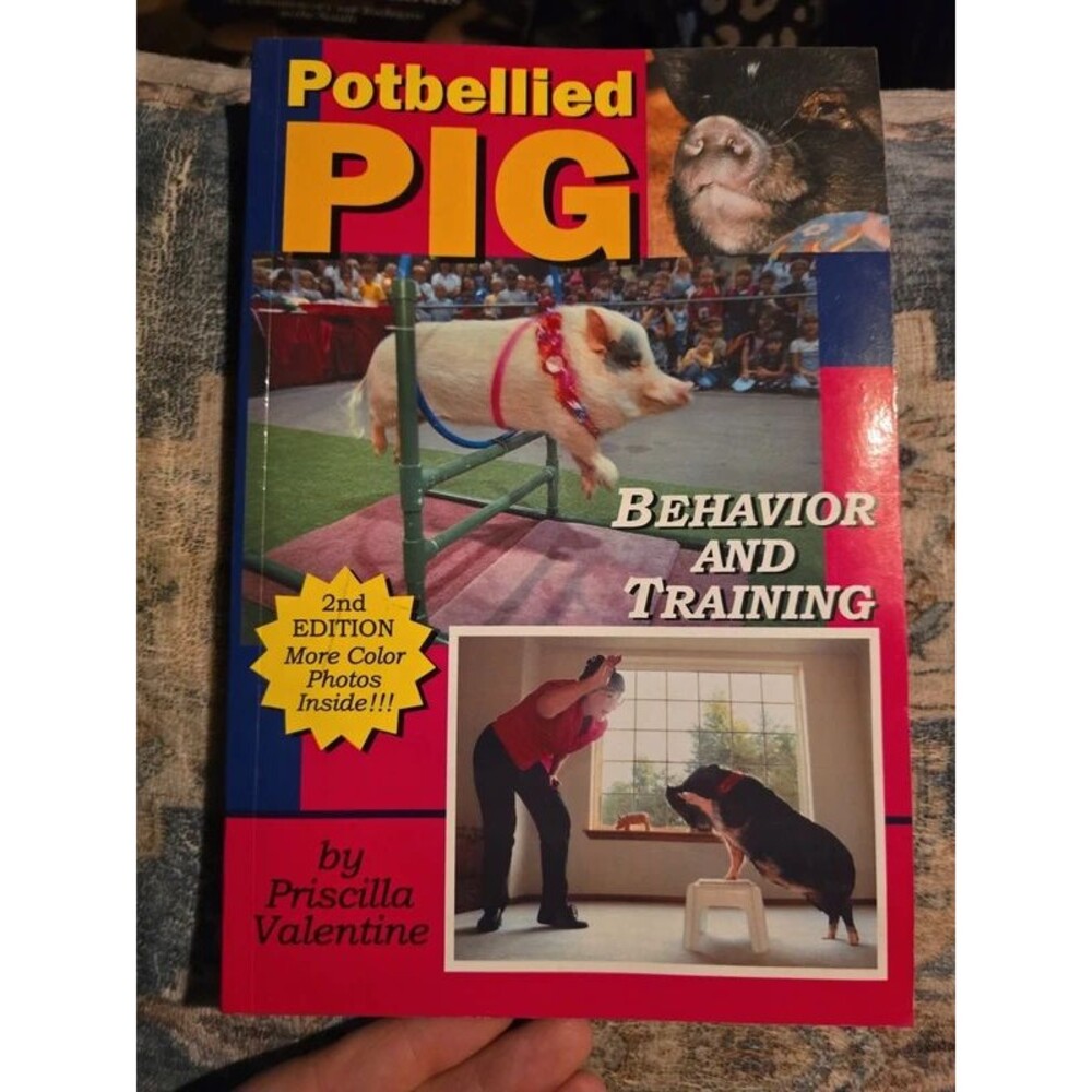Potbellied Pig - Behavior and Training